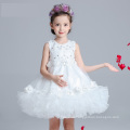 2017 india children wholesale clothing boutique dresses flower girl dress